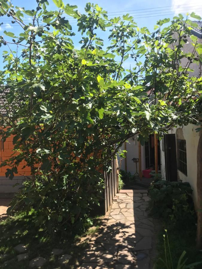 Ferienhaus Rheinperle Mit Garten In Remagen Am Rhein - Naehe Bonn别墅 外观 照片