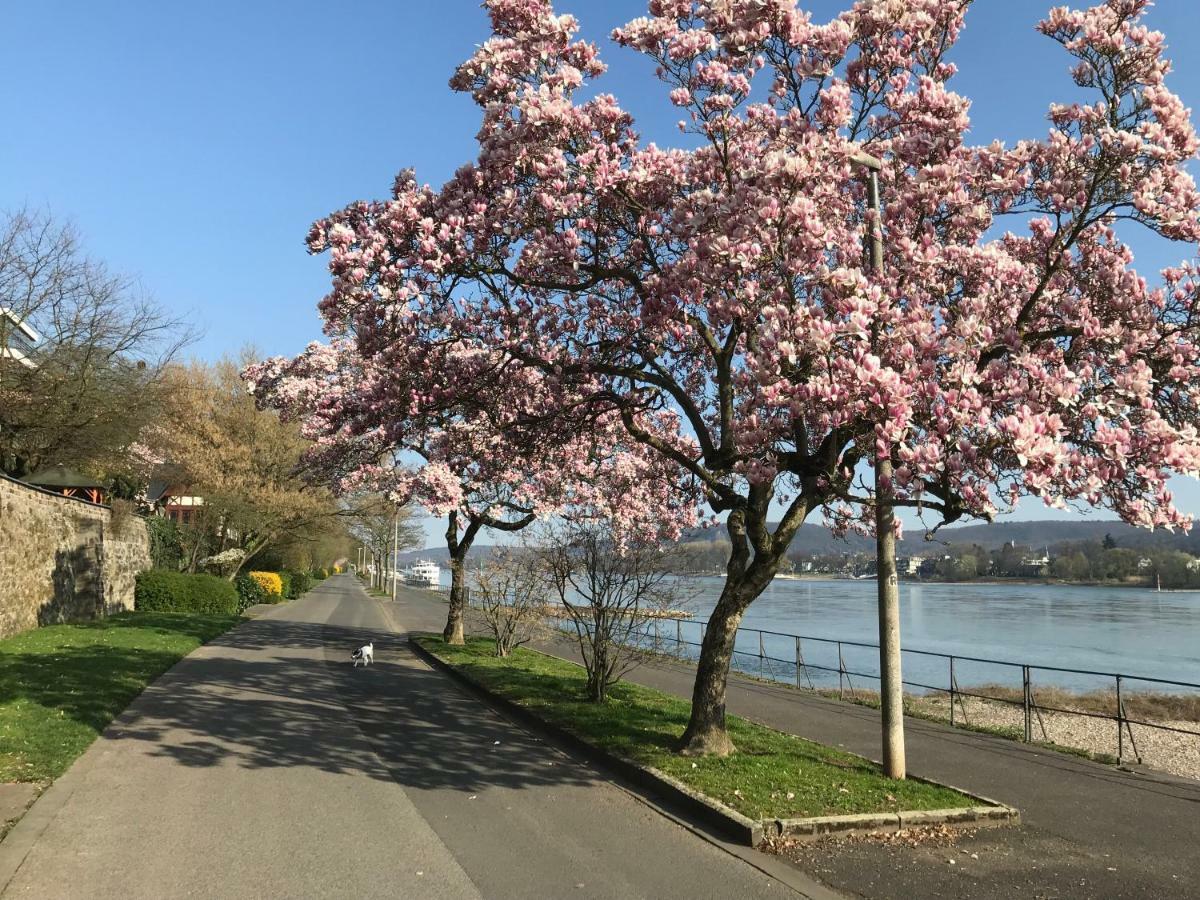 Ferienhaus Rheinperle Mit Garten In Remagen Am Rhein - Naehe Bonn别墅 外观 照片
